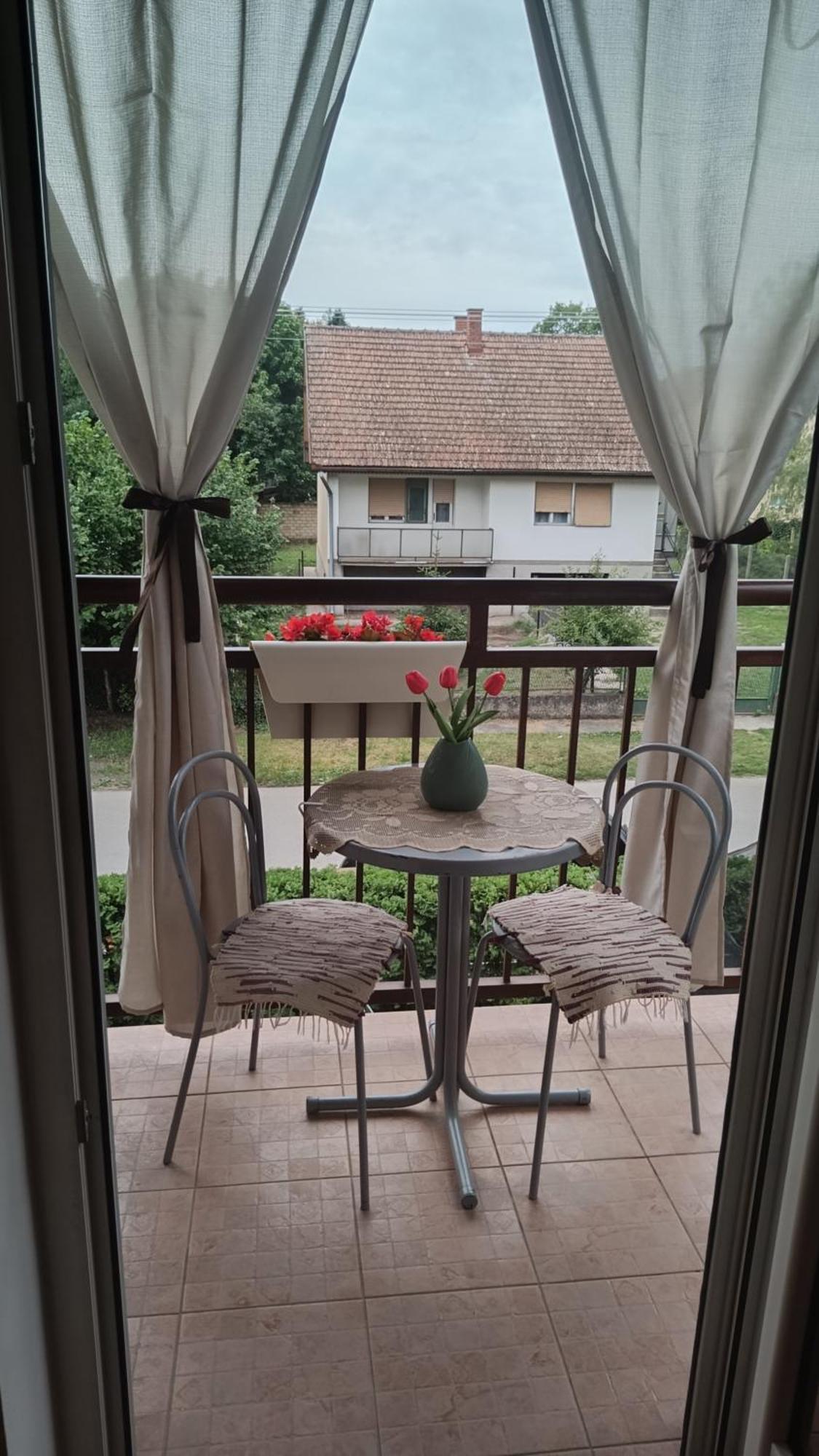 Dora Apartman Palić Zewnętrze zdjęcie